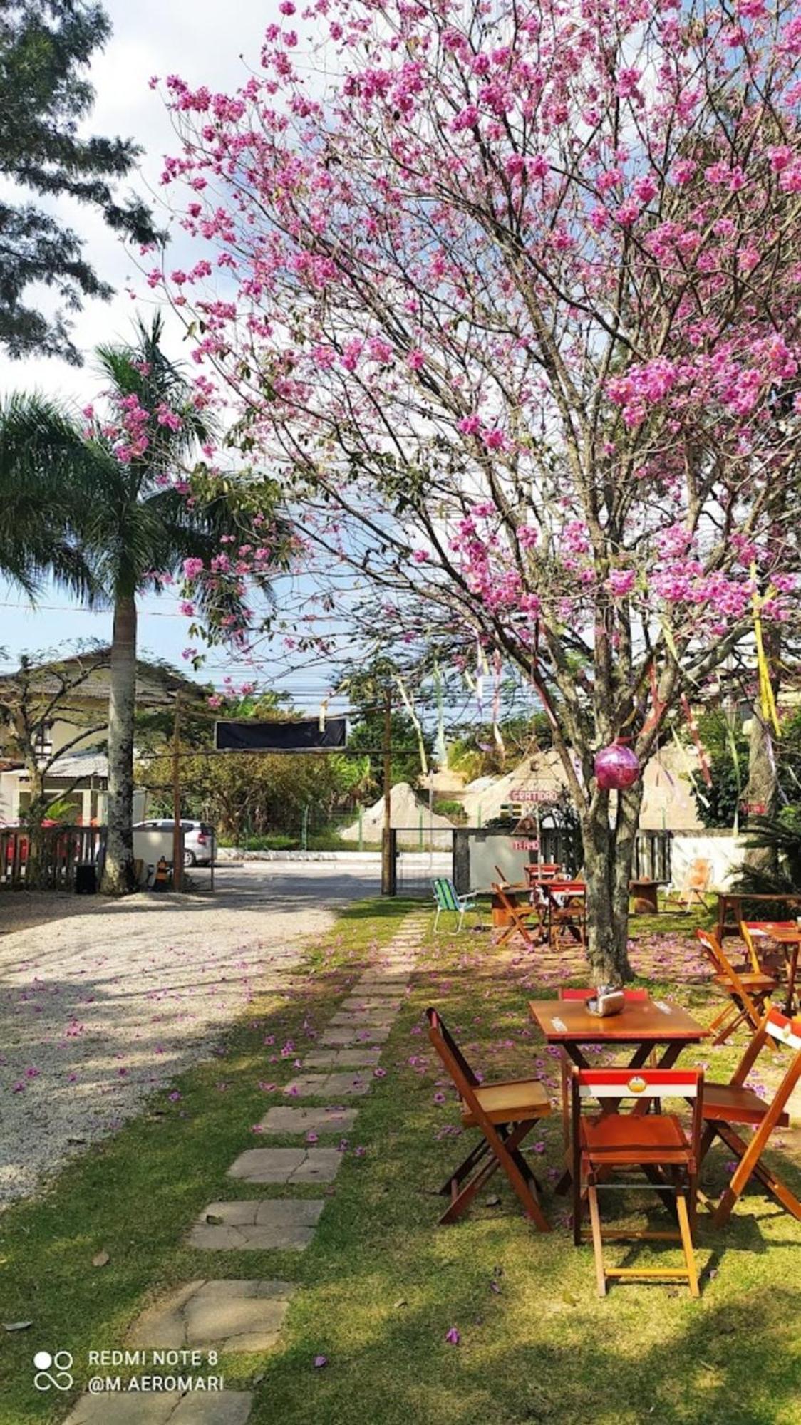 Nomades Vibe Da Ilha - Adventure Hostels & Coworking Florianópolis Dış mekan fotoğraf